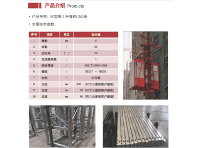 廣告撲克 紙撲克 老虎 Tiger紙片
